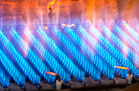 Preston Montford gas fired boilers